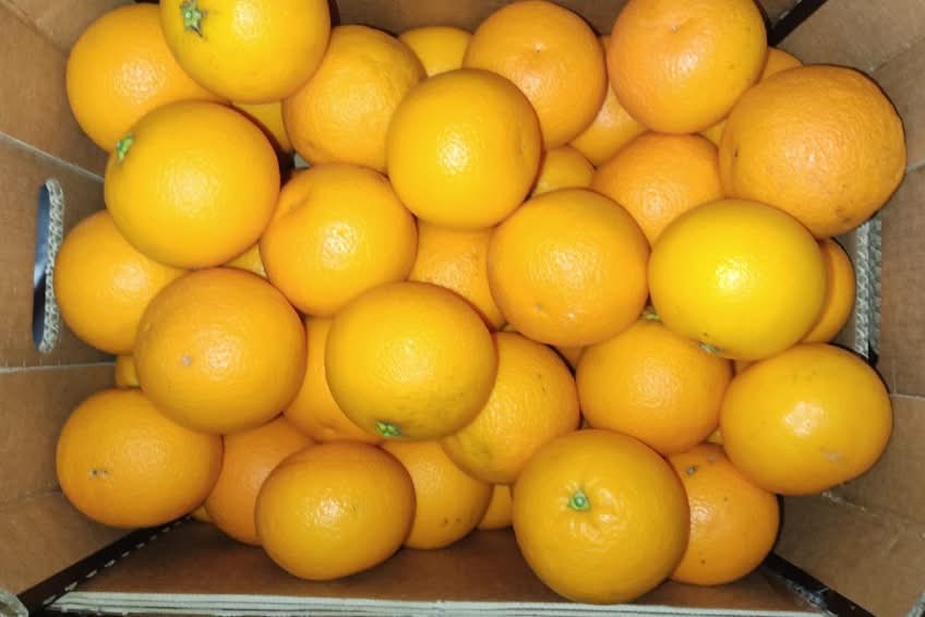 Bio Zitrus-Mix Box Aktionspreis % 5kg