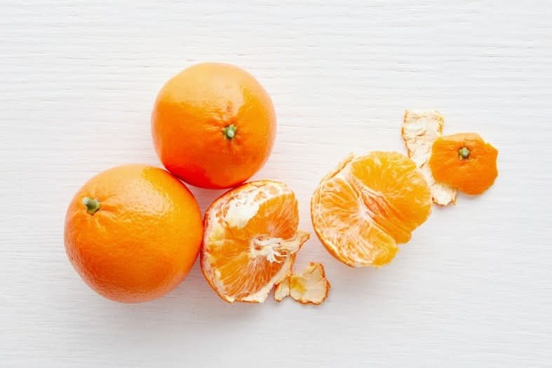 Edel-Mandarine "Tacle" Bio