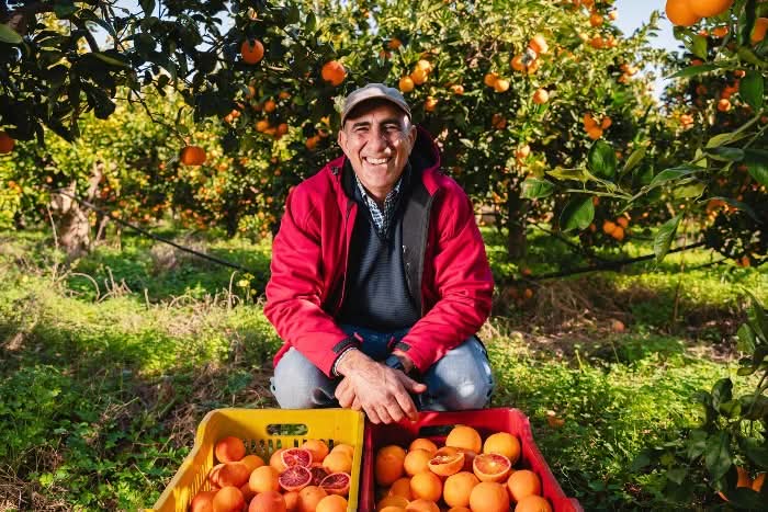 Bio Halbblut-Orange „Tarocco“ von Duilio Sizilien