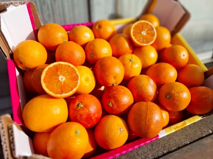 Bio Saft-Orangen Tarocco