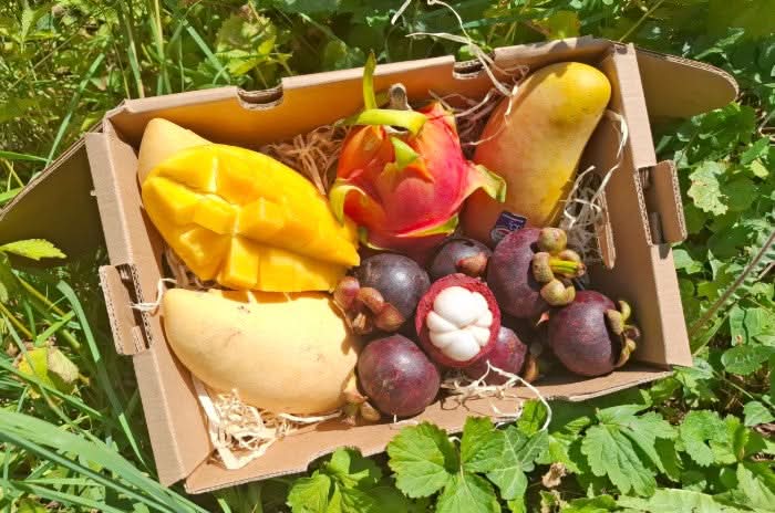 Früchtebox "Thai Gold" Kennenlernpreis