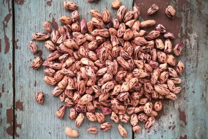 Bio Erdnüsse Tiger Demeter