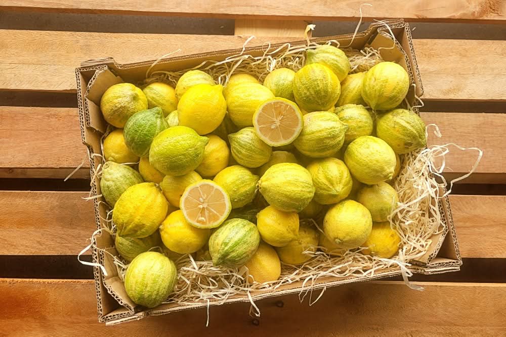 Tigerzitronen Bio von Miguel Sparpreis-Box