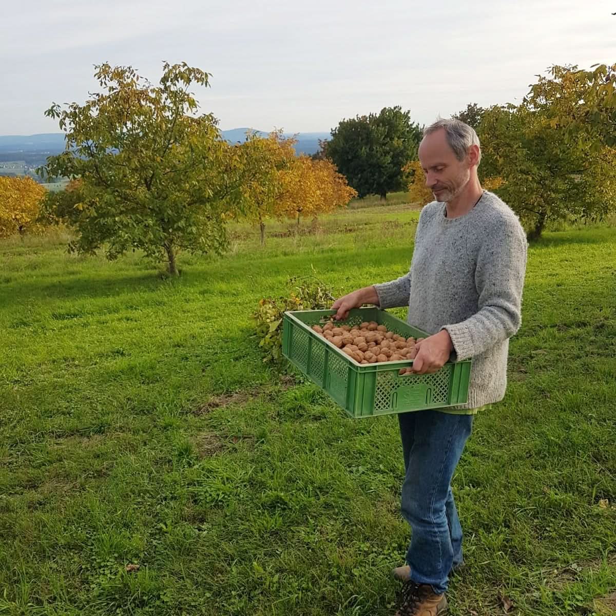 Walnüsse regional Bio vom Lillinghofer Hof