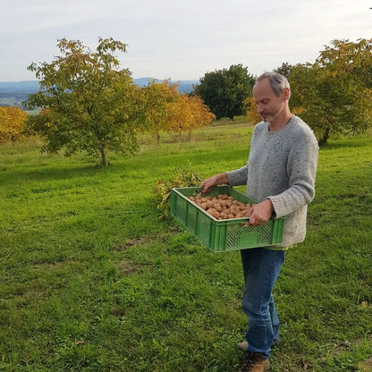 Walnüsse regional Bio vom Lillinghofer Hof