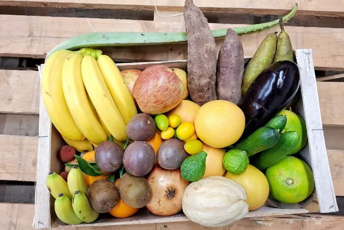 Obst & Gemüsebox "Weihnachtsüberraschung" Bio Sonderaktion