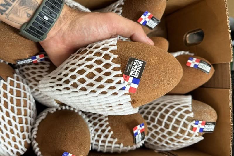 Sapote Purple (Zapote Morado)