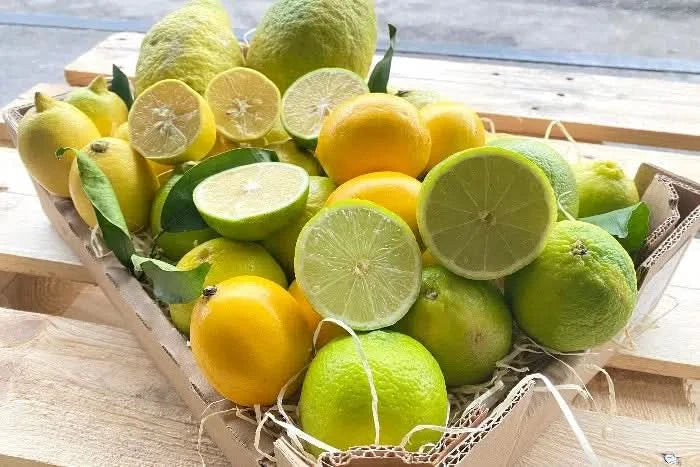 Bio Zitronenliebe Mix-Box