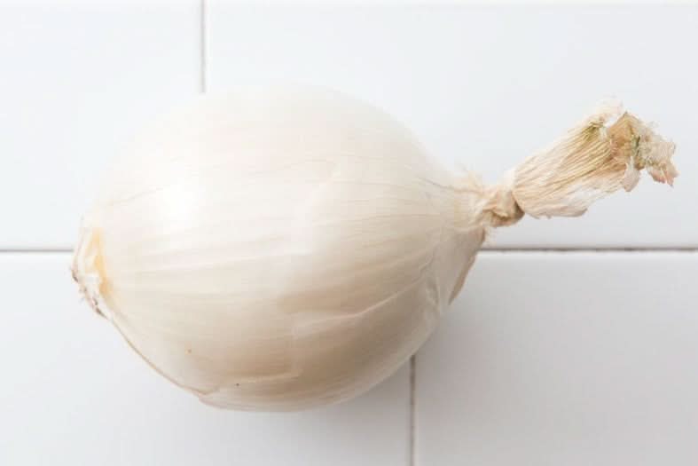 Zwiebeln weiss Bio (Cipolla bianca)