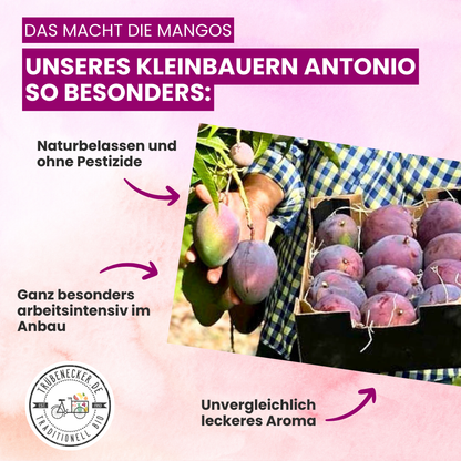 Mango von Antonio Retterbox % 3kg