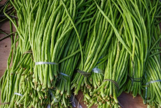 Spargelbohne (Thai-Bohne) samenfest Bio regional Demeter Bund