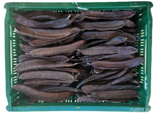 Johannisbrot Bio Italien