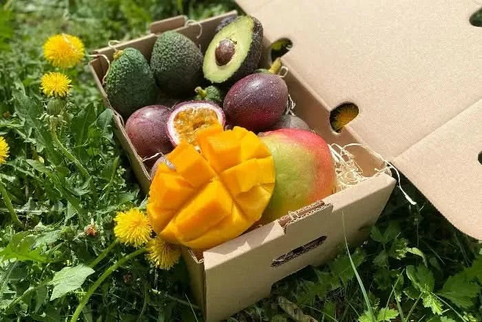 Mango, Avo & Passion Box - 3.5 Kg