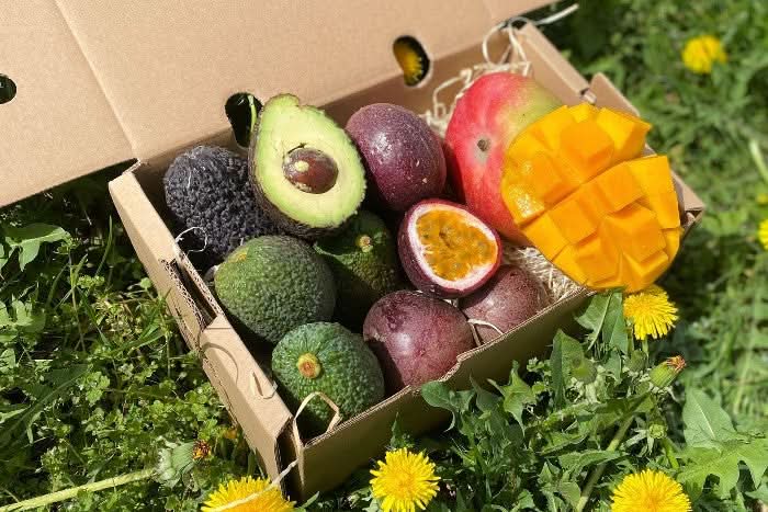 Mango, Avo & Passion Box - 3.5 Kg