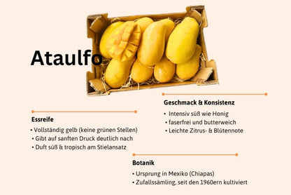 Mango-Träume Mix-Box 2kg Community-Deal %