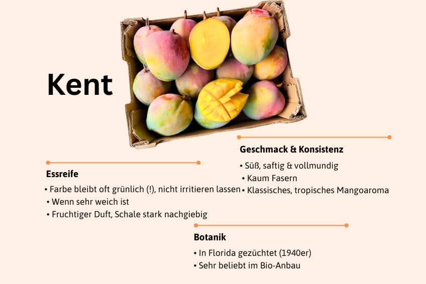 Mango-Träume Mix-Box 2kg Community-Deal %