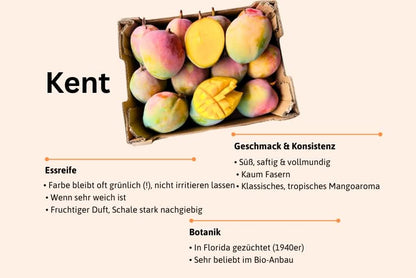 Mango-Träume Mix-Box 2kg Community-Deal %