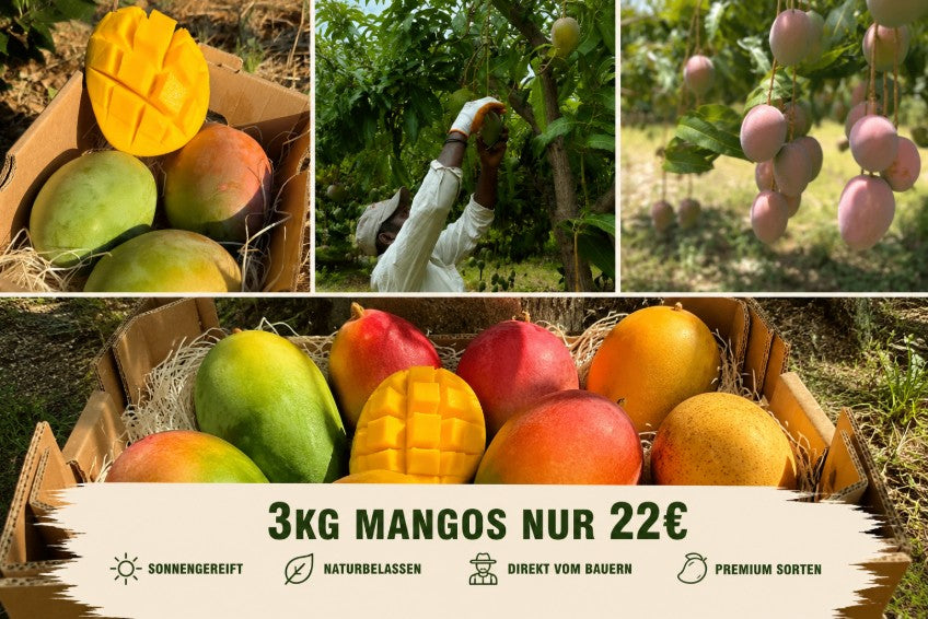 Mango Mix Sonderaktion % 3kg