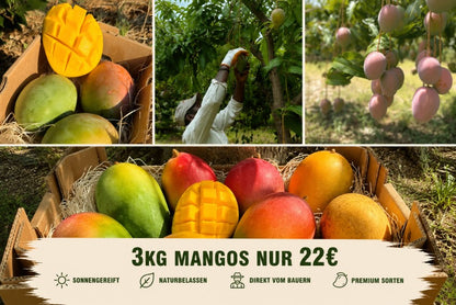Mango Mix Sonderaktion % 3kg