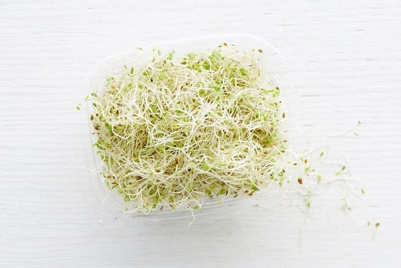 Bio Alfalfa Sprossen regional 100g
