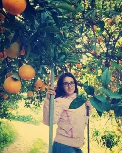 Orangen "Washington Navel"  Bio Sizilien Aktionspreis