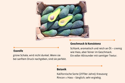 Avocado Pinkerton Bio von Julian Aktionswoche %