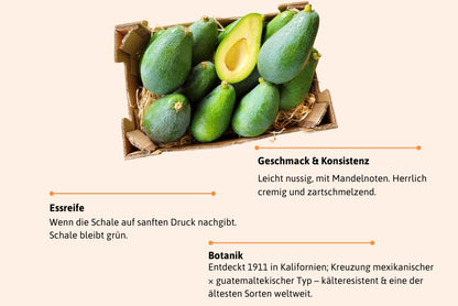 Avocado Fuerte Bio von Julian Aktionswoche %