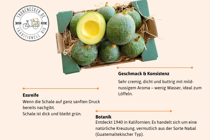 Avocado Reed Bio von Julian