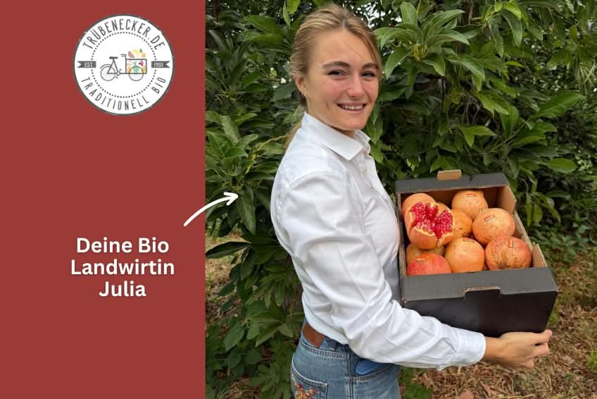 Granatapfel rosa "Mollar" Bio Demeter von Julia Sparpreis-Box %