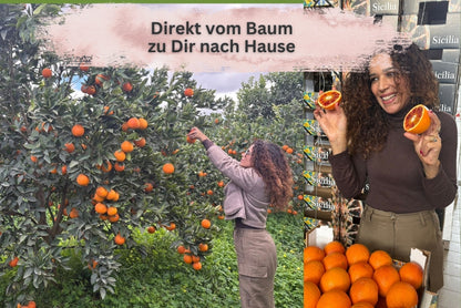 Blutorangen Tarocco Bio Sizilien Sparpreis-Box % 7kg