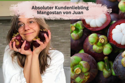 Mangostan unbehandelt Thailand 1,5kg Box Promo %