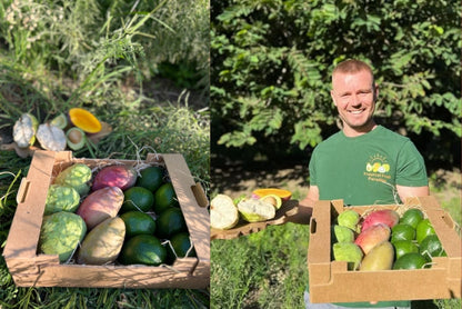 Obstbox "Cher-Man-Cado" von Julian