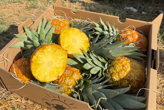Baby-Ananas