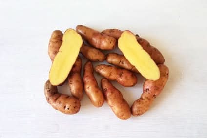 Gourmet-Kartoffeln "Bamberger Hörnchen" Bio regional