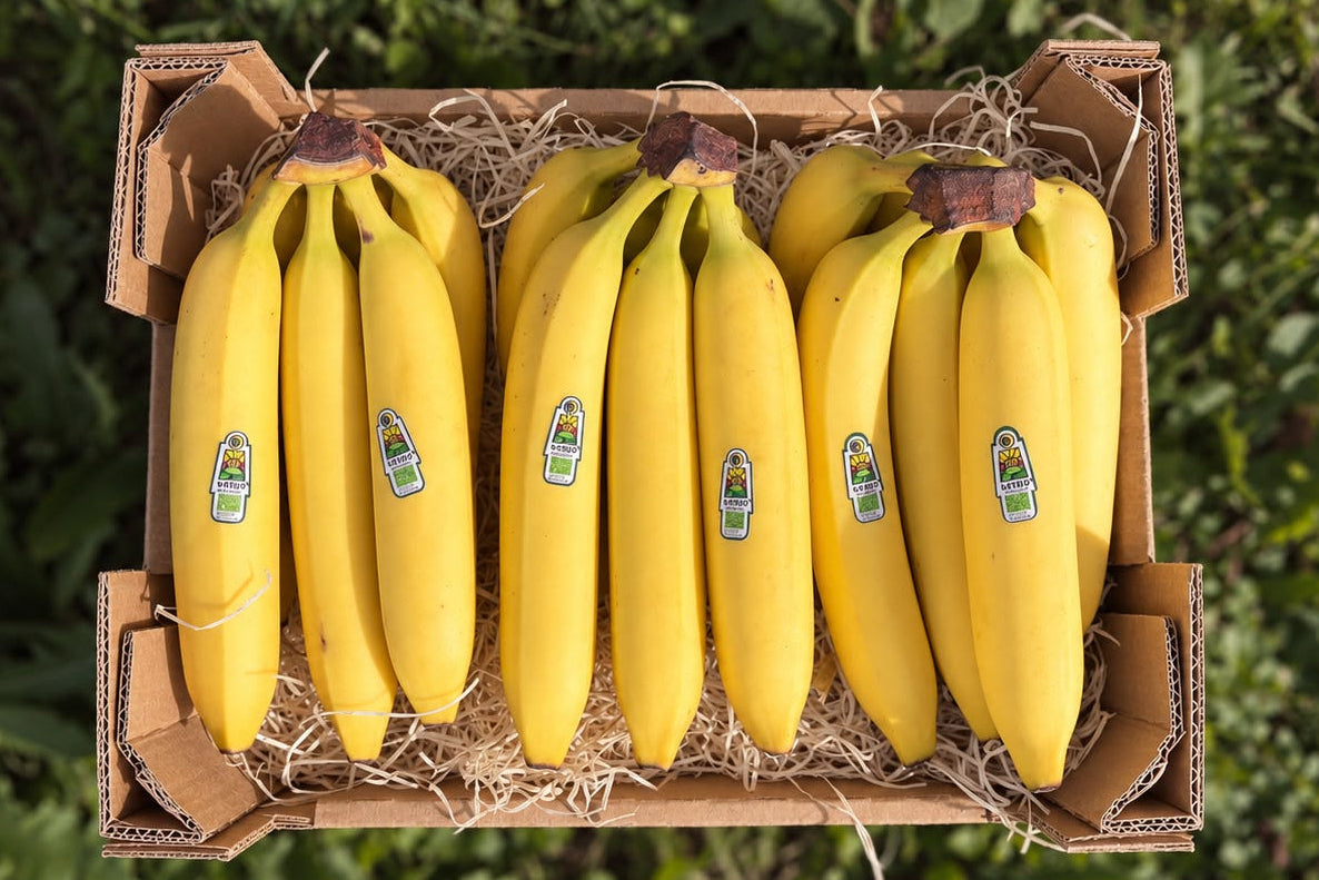 Bananen Bio 1kg