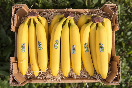 Bananen Bio 1kg – Produktfoto
