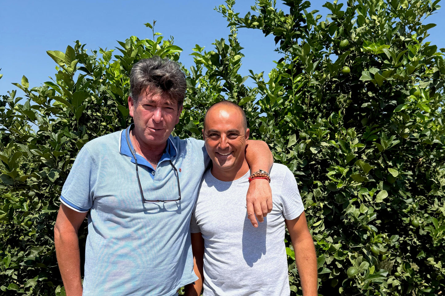 Zitrusfrucht "Buddha's Hand" Bio von Juan