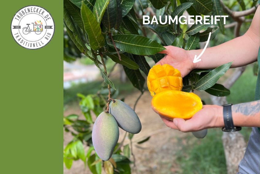 Mango-Raritäten Mix Box von Julian Farmerbox