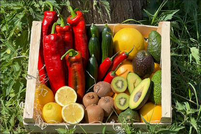 Obst-& Gemüsebox „Kretas Garten der Götter“ Bio 4kg