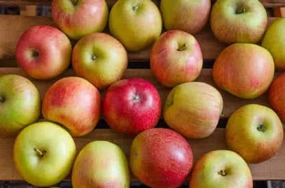 Apfel Mix Bio 1kg