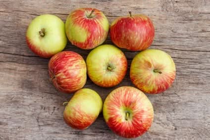 Bio Apfel "Prinz Albrecht" alte Sorte regional 1kg
