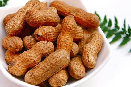 Erdnüsse bio Demeter Italien 250 gr.