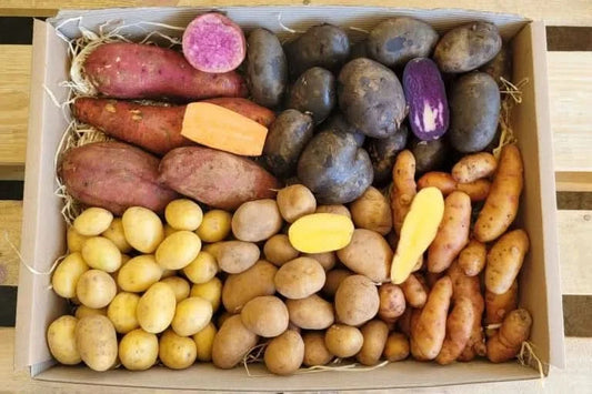 Bio Gourmet-Kartoffel Box regional 5Kg