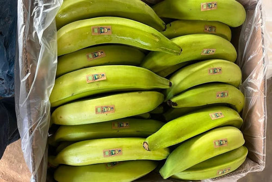 Kochbananen „Platanos“ Bio