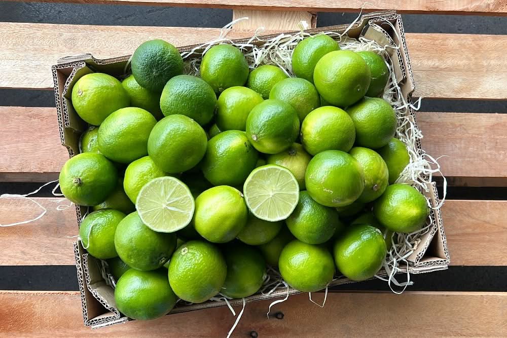 aufbewahrung limetten Limetten Bio Box bestellen