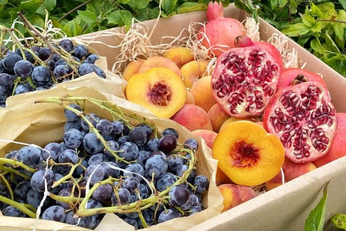 Obstbox "Griechische Sonne" Bio Aktionspreis