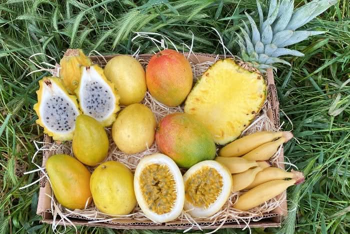 Bio Obstbox „Sabor Latino“