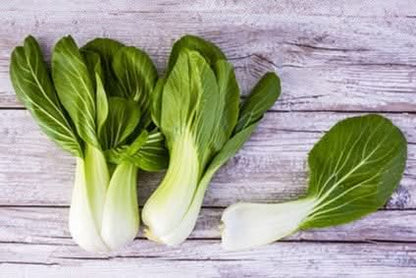 Pak Choi Bio regional