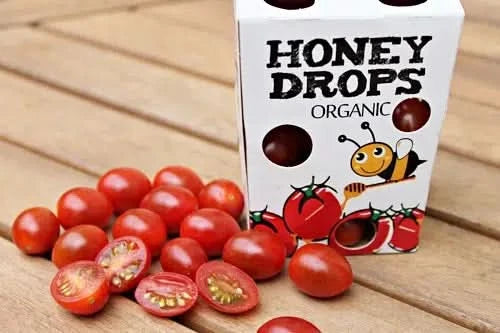 Baby-Datteltomaten "Honey Drop" Bio .