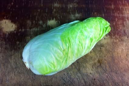 Bio Endiviensalat (Scarola) samenfest 1 Stk.